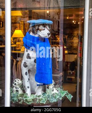 Mannequin bien habillé d'un chien de Dalmation dans une vitrine de bain Royaume-Uni Banque D'Images