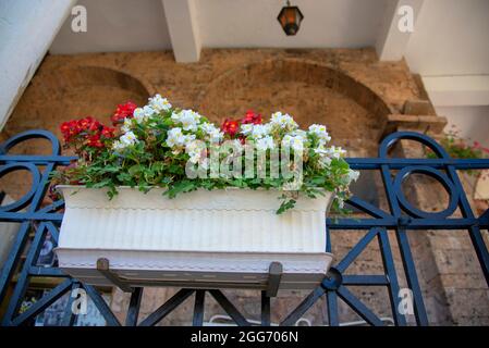 Un balcon décoré de jardinières avec des begonias multicolores. Banque D'Images