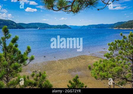 Vue sur le fjord du Saguenay depuis 'la halte aux Belugas' sur le sentier de randonnée du fjord, près du Sacré coeur, Québec (Canada) Banque D'Images