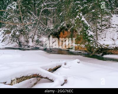 Le tronc d'arbre flétrisé qui est tombé dans la rivière Rauna est malté et recouvert d'une couche de neige. Sur la rive opposée de la rivière vous pouvez voir Banque D'Images