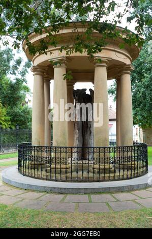 Guernika, Espagne; 12 août 2021: Arbre de la ville de Guernica protégé par des colonnes en pierre et une clôture en fer et couvert d'une capitale. Dans le backgro Banque D'Images