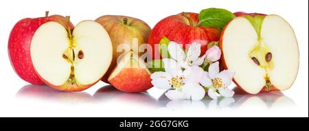 Pommes fruits pomme rouge collection de fruits avec des feuilles isolées sur fond blanc tranché Banque D'Images