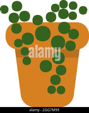 Chaîne de perles plante dans un pot, illustration d'icône, vecteur sur fond blanc Illustration de Vecteur