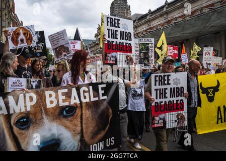 Camp Beagle, Free the MDR Beagle, National Animal Rights March, organisé par Animal Rebellion et extinction Rebellion dans la City de Londres, Angleterre, Royaume-Uni. Plusieurs milliers de personnes ont rejoint le groupe qui mène des campagnes pour faire passer notre système alimentaire à un système basé sur les plantes afin de s'attaquer à l'urgence climatique. Août 28 2021 Banque D'Images