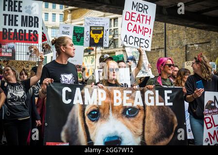 Camp Beagle, Free the MDR Beagle, National Animal Rights March, organisé par Animal Rebellion et extinction Rebellion dans la City de Londres, Angleterre, Royaume-Uni. Plusieurs milliers de personnes ont rejoint le groupe qui mène des campagnes pour faire passer notre système alimentaire à un système basé sur les plantes afin de s'attaquer à l'urgence climatique. Août 28 2021 Banque D'Images