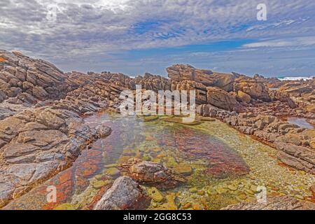 Formations rocheuses avec bassin marécageux sur la rive du Cap Agulhas en Afrique du Sud, qui est le point le plus au sud du continent africain. Banque D'Images