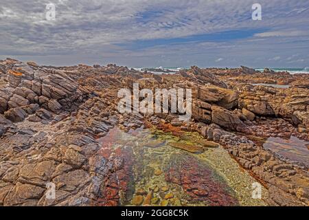 Formations rocheuses avec bassin marécageux sur la rive du Cap Agulhas en Afrique du Sud, qui est le point le plus au sud du continent africain. Banque D'Images