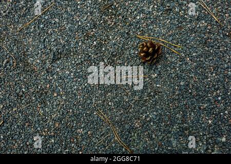 Arrière-plan, petites pierres de couleur grise sur un sol. Photo de haute qualité Banque D'Images