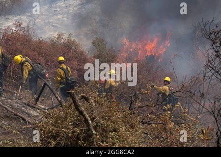 29 août 2021, non incorporé San Diego et RIV, Californie, États-Unis: Une équipe DE FEU de CAL combat une explosion au feu de Chaparral dans les comtés de San Diego et de Riverside. L'incendie a commencé juste après midi le 28 août, et le matin du 29, il avait brûlé 1,425 acres et était contenu à 10%. (Image de crédit : © David Barak/ZUMA Press Wire) Banque D'Images