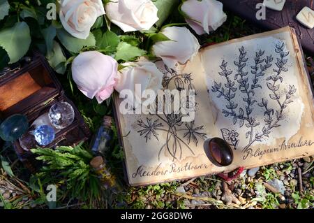 Belles roses et journal ouvert avec dessins botaniques dans le jardin. Arrière-plan ésotérique, gothique et occulte, Halloween mystique et wicca concept outdo Banque D'Images