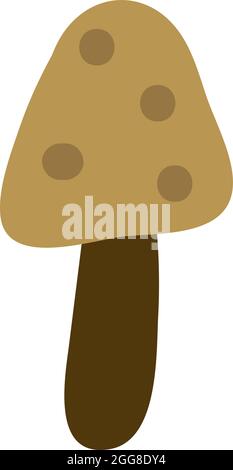 Champignon huître, illustration, vecteur sur fond blanc. Illustration de Vecteur