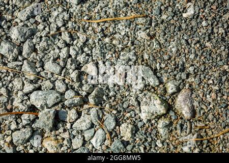 Arrière-plan, petites pierres de couleur grise sur un sol. Photo de haute qualité Banque D'Images