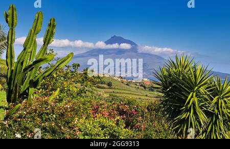 Volcan de l'île Pico avec le mont Pico, Açores - voir l'île de Faial Banque D'Images