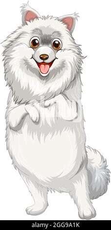 Dessin animé de chien de Poméranie sur fond blanc Illustration de Vecteur
