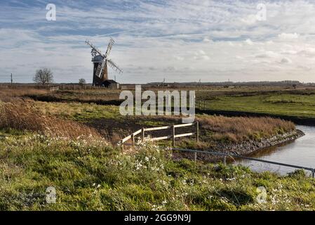 Horsey Mill debout dans les reedbeds, les Norfolk Broads, East Anglia, Royaume-Uni Banque D'Images