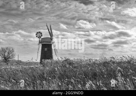 Horsey Mill debout dans les reedbeds, les Norfolk Broads, East Anglia, Royaume-Uni Banque D'Images