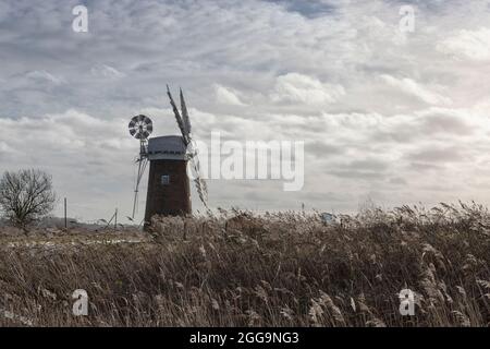 Horsey Mill debout dans les reedbeds, les Norfolk Broads, East Anglia, Royaume-Uni Banque D'Images