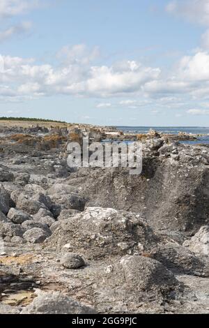 Piles de mer à Digerhuvud sur l'île de Fårö, Gotland, Suède Banque D'Images