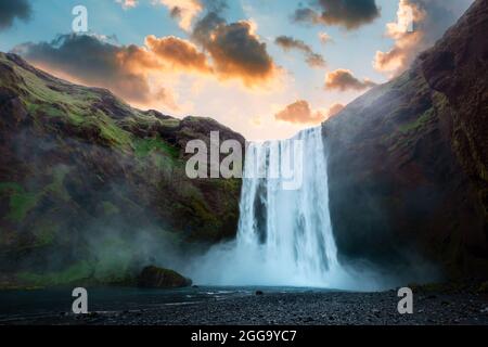 Célèbre cascade de Skogafoss sur la rivière Skoga au coucher du soleil. Islande, Europe. Grand ciel violet brillant sur fond. Photographie de paysage Banque D'Images