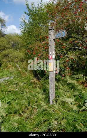 panneau de chemin de pied/bride bien abîmé Banque D'Images