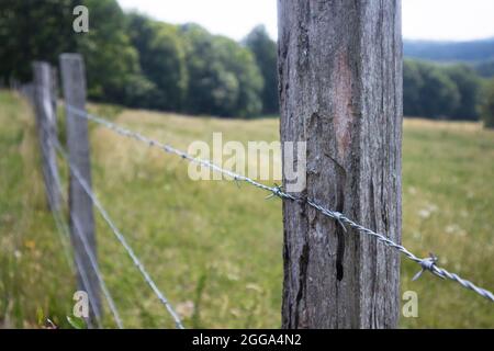 Clôture en fil barbelé le long d'un pâturage sur la Blue Ridge Parkway. Banque D'Images