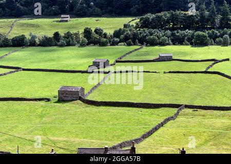 Granges traditionnelles en pierre et terres agricoles à la périphérie de Gunnerside Village, Yorkshire Dales, Royaume-Uni Banque D'Images