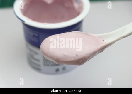 Yaourt aux myrtilles dans une cuillère, une petite tasse de yaourt qui est la nourriture aigre parfaite pour les desserts Banque D'Images