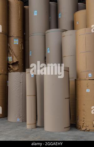 Le papier est converti en carton ondulé composé de plusieurs couches ondulées et plates. Ce produit final est utilisé pour l'emballage Banque D'Images
