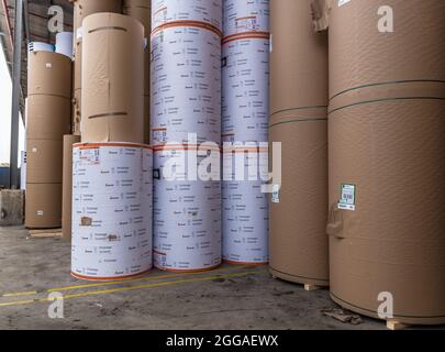 Le papier est converti en carton ondulé composé de plusieurs couches ondulées et plates. Ce produit final est utilisé pour l'emballage Banque D'Images