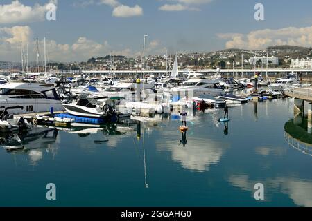 Paddleboarders de Standup dans le port de Torquay. Banque D'Images