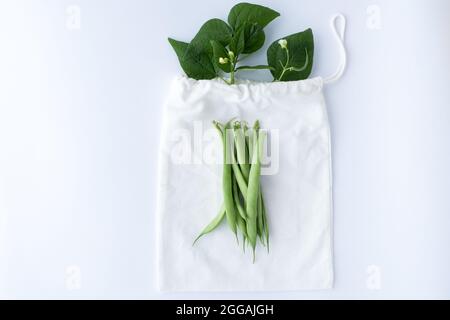 Concept créatif vert haricot sur sac écologique réutilisable. Concept sans plastique. Pose à plat. Vue de dessus. Photo de haute qualité. Photo de haute qualité Banque D'Images