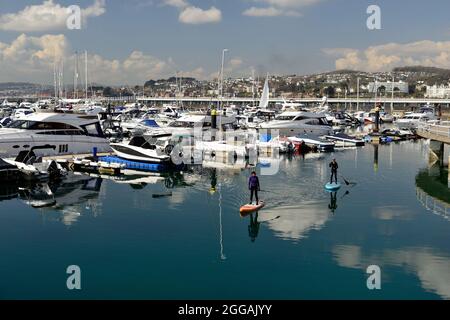 Paddleboarders de Standup dans le port de Torquay. Banque D'Images