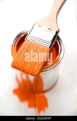 Présentation d'un pinceau avec le correspondant Banque D'Images