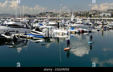 Paddleboarders de Standup dans le port de Torquay. Banque D'Images