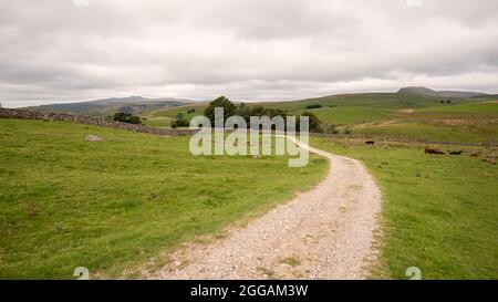 Deux des trois sommets du Yorkshire, soit Ingleborough sur LHS et Pen-y-Ghent sur la droite Banque D'Images