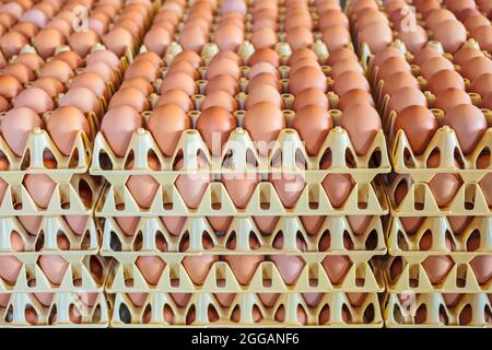 Caisses en plastique avec œufs frais blancs et bruns sur une ferme de poulet biologique Banque D'Images