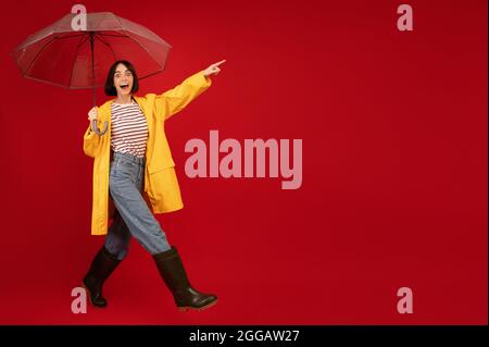 Femme excitée dans un imperméable jaune et des bottes marchant avec un parapluie et pointant vers l'espace libre sur fond rouge Banque D'Images