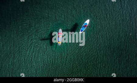 Deux sportifs marchent sur des planches de sup avec des pagaies à l'eau turquoise. Vue aérienne de drone Banque D'Images