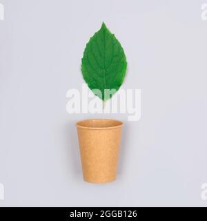 Composition carrée, image de maquette d'une tasse à café écologique - gobelet en papier kraft avec feuilles vertes sur fond gris clair et espace de copie Banque D'Images