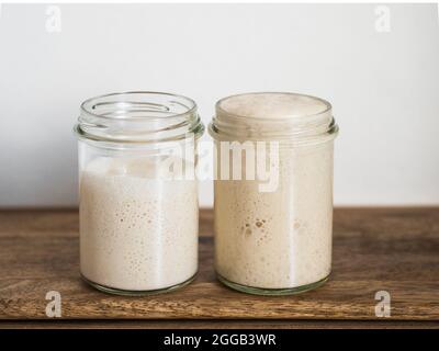 Deux pots en verre avec des démarreurs de levain de blé dans différents niveaux d'hydratation.Starter 100% hydration (droite) et Starter avec plus d'hydratation (gauche).Copier l'espace Banque D'Images