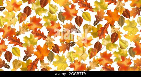 Motif sans couture feuillage d'automne coloré et lumineux isolé sur fond blanc. Motif graphique symbole d'automne. Rouge orange jaune feuilles d'automne sèches. Réglage Illustration de Vecteur