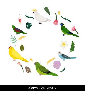 Modèle avec perroquets en cercle pour un imprimé enfant. Composition ronde d'oiseaux tropicaux cocatoo, kakariki et copains. Ensemble vectoriel de la vie de la jungle dans le style de dessin animé. Illustration de Vecteur