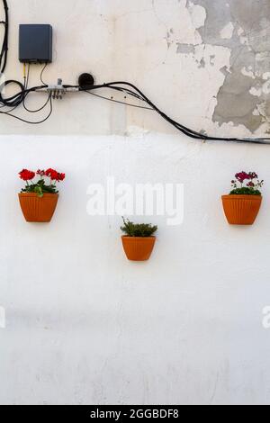 Pots de fleurs et câbles électriques sur mur blanc Banque D'Images