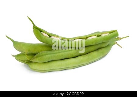 gousses de haricots verts mûrs frais isolées sur fond blanc Banque D'Images