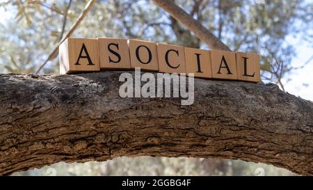 Mot Asocial créé à partir de cubes en bois. Photographié sur l'arbre. Banque D'Images