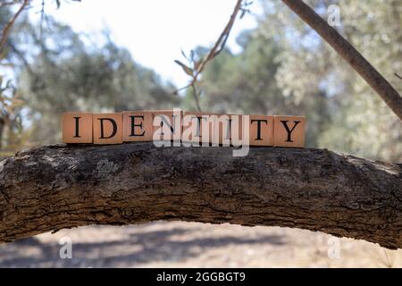 Le mot IDENTITÉ a été créé à partir de cubes en bois. Photographié sur l'arbre. Banque D'Images