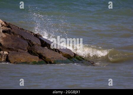 Vagues s'écrasant sur la rive du lac Ontario Banque D'Images