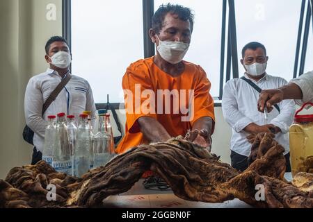 Pekanbaru, province de Riau, Indonésie. 30 août 2021. La police affiche la peau confisquée d'un tigre de Sumatran en danger critique avec un suspect dans un poste de police de Pekanbaru, dans la province de Riau, en Indonésie. Bien que le braconnage du tigre de Sumatra soit protégé mais persiste en raison de la forte demande sur le marché illégal (image de crédit: © Afrianto Silalahi/ZUMA Press Wire) crédit: ZUMA Press, Inc./Alay Live News Banque D'Images