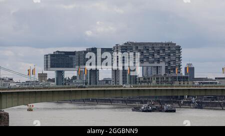 Bureaux modernes et bâtiments résidentiels à côté du Rhin à Cologne, Allemagne Banque D'Images