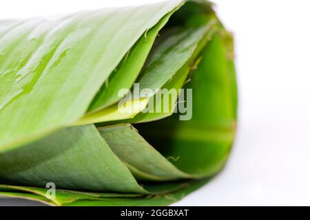 Gros plan image de la feuille de Kerala Banana ou de Vazhayila sur fond blanc. Généralement utilisé dans Kerala manger repas ou Sadhya pendant Onam Celebration. Sélectif Banque D'Images